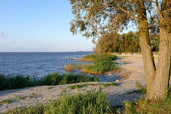 فيلا Huus Am Darss Fuhlendorf  المظهر الخارجي الصورة